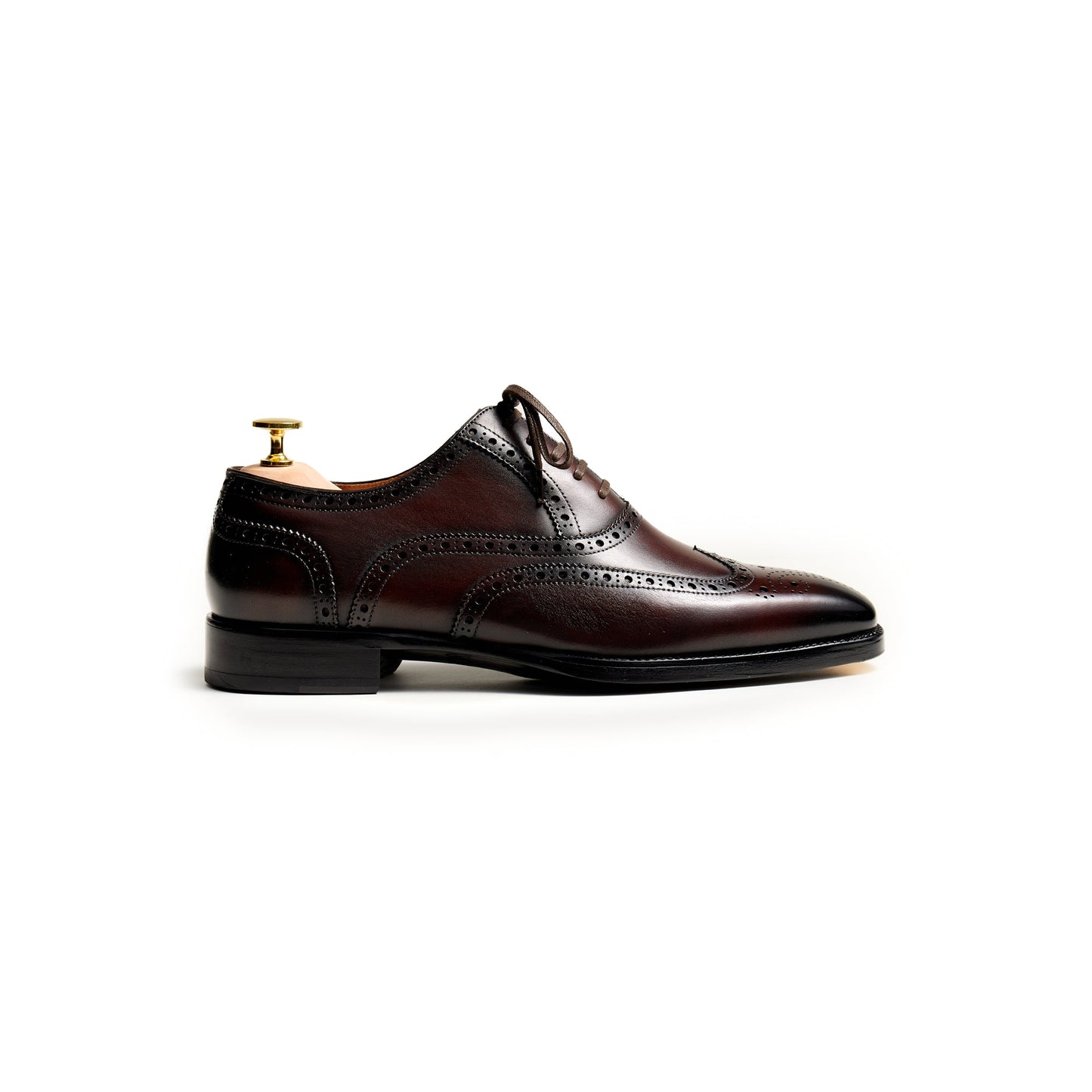Artisan Wingtip Oxfords - Brown (BRN)