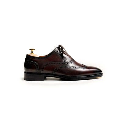 Artisan Wingtip Oxfords - Brown (BRN)