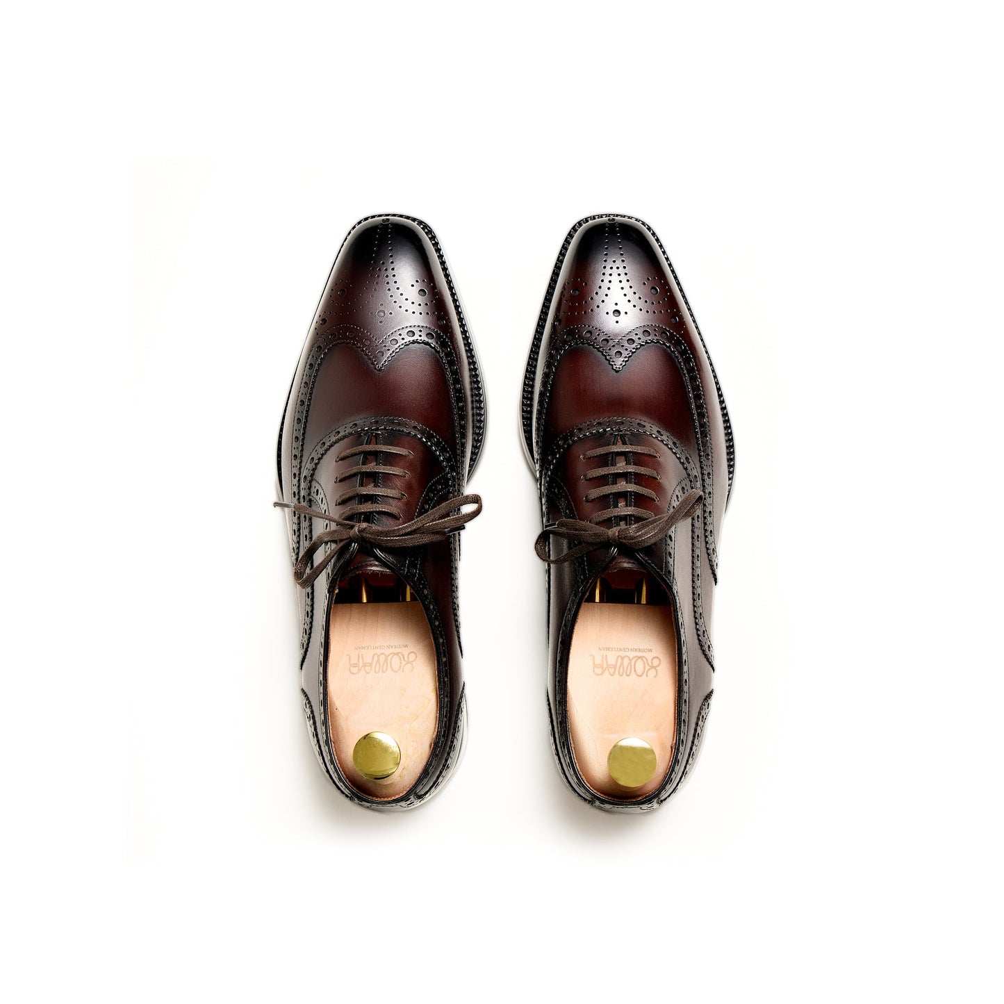 Artisan Wingtip Oxfords - Brown (BRN)