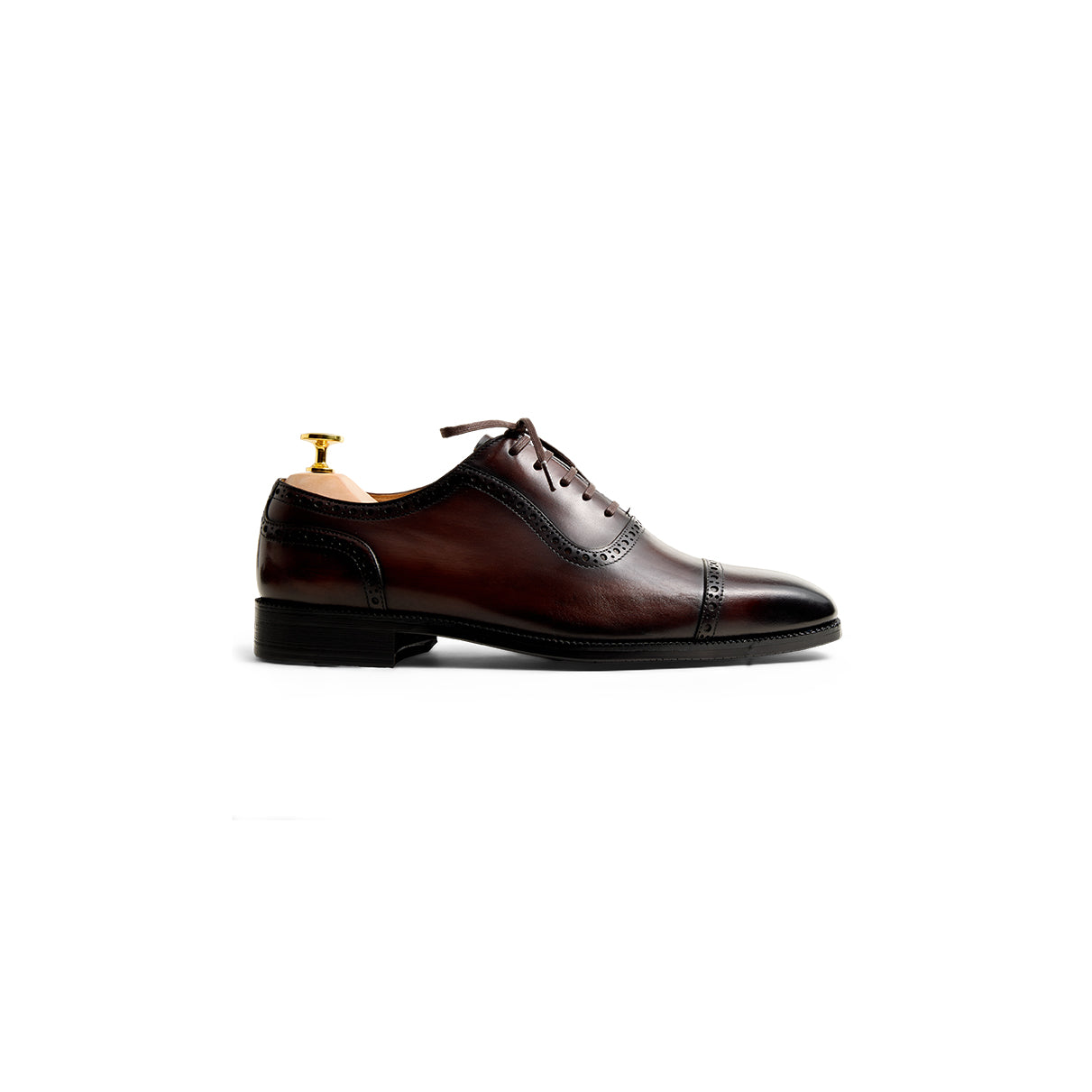 Kollar Brogue Oxfords - Brown (BRN)