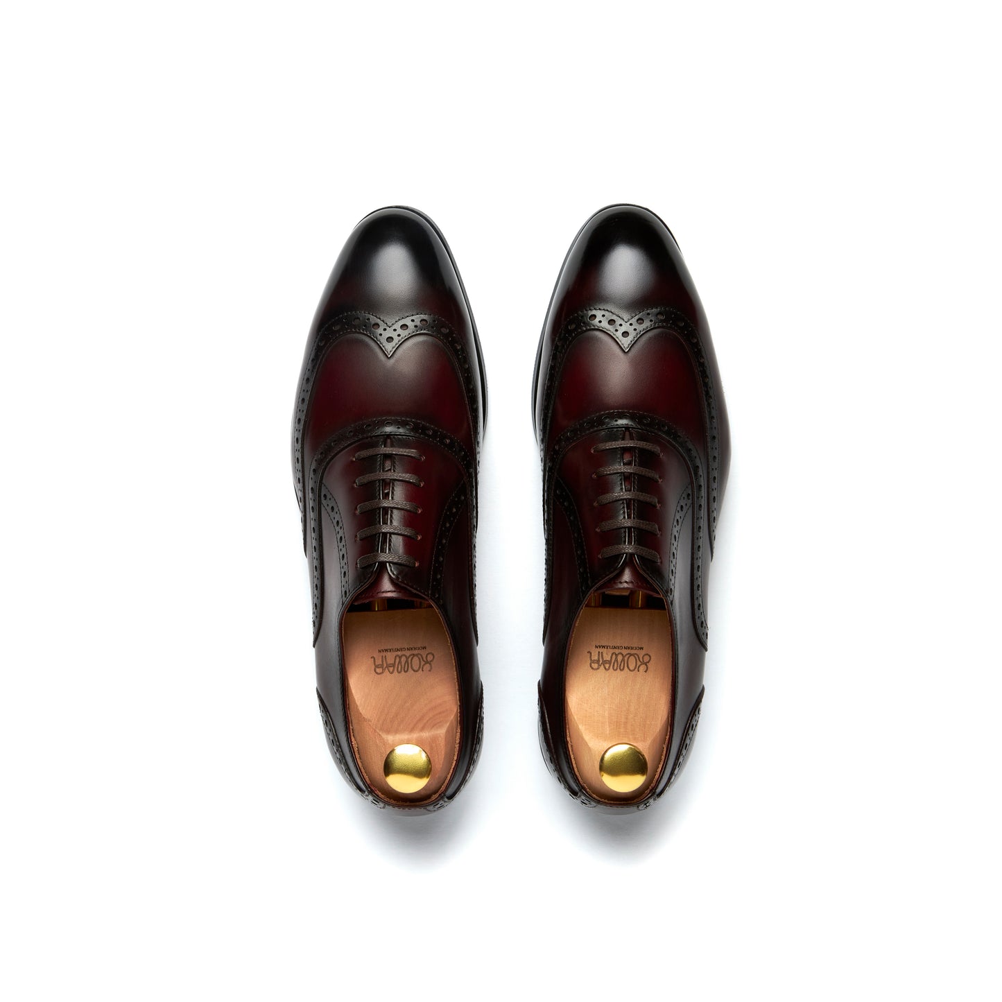 Suitman Wingtip Oxfords - Burgundy (BGD)