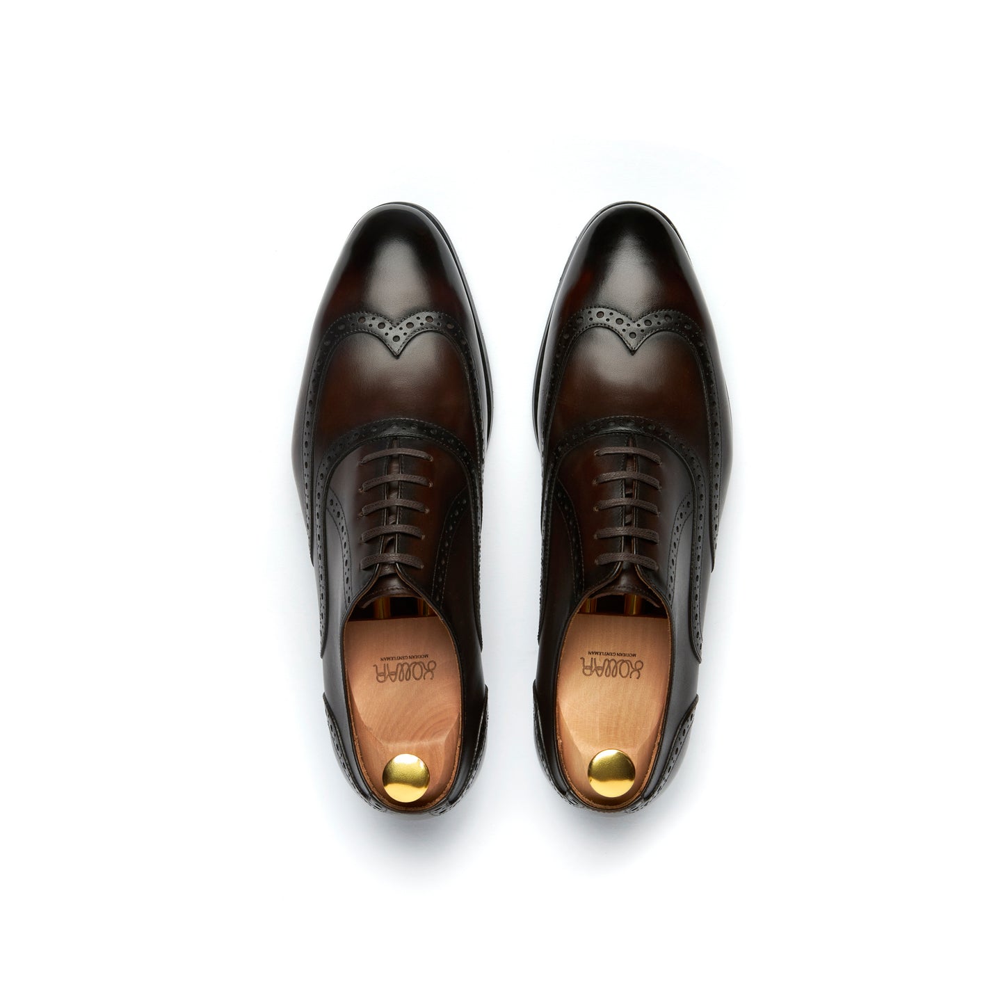 Suitman Wingtip Oxfords - Brown (BRN)